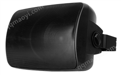 AD-CO502 6.5寸壁挂喇叭