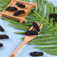 常年直供海參-俄羅斯淡干海參-產量高-質量好