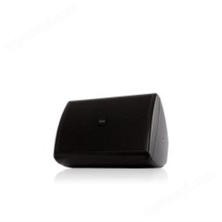 QSC AC-S6T 小型表面安装扬声器