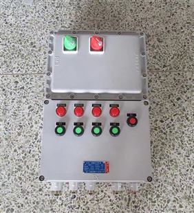 污水处理厂可用照明开关防水防尘防爆配电箱 多种型号组合 带图片